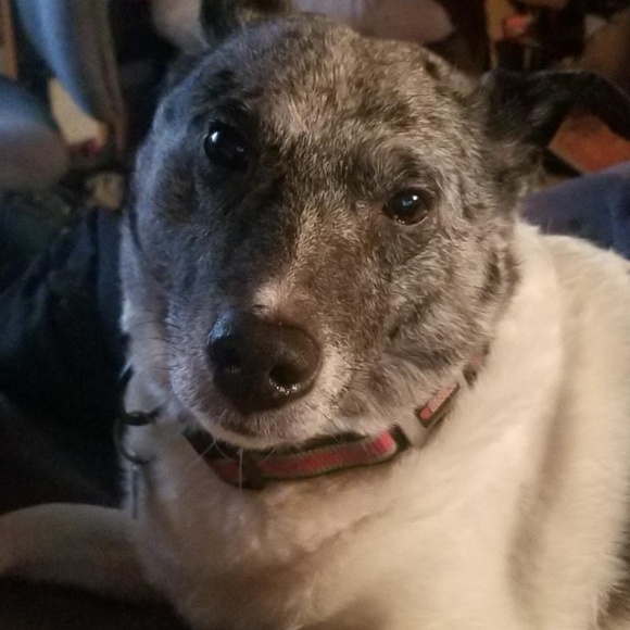 Meet your Posher, J - Picture 1 of 1